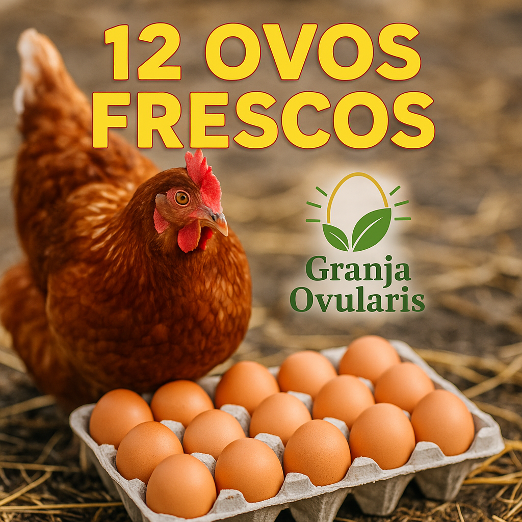 Ovos de Galinha 