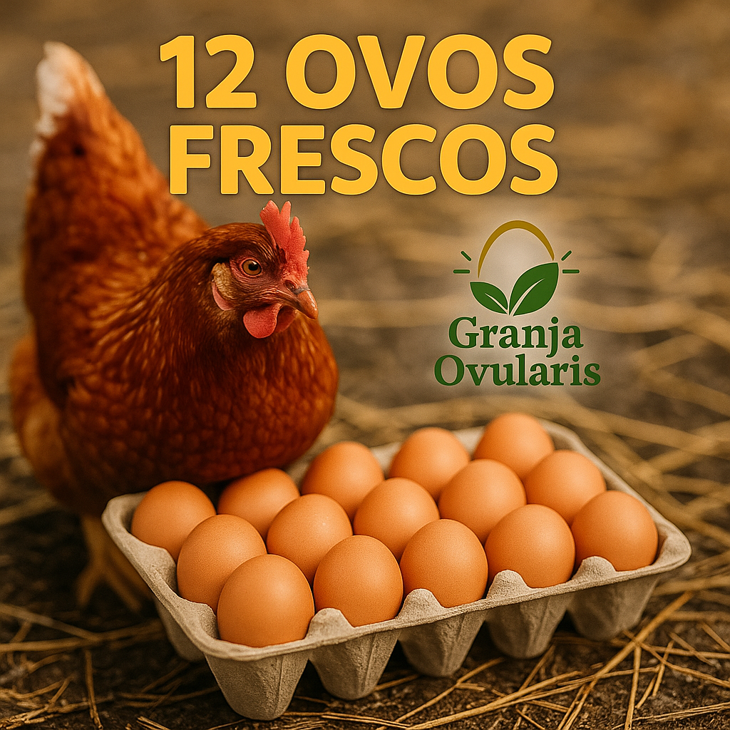 12 ovos de galinha test